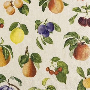 Lunch Napkin - Fruit Lovers RECYCLED
