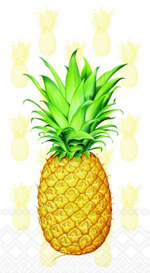 Guest Towels - Tropical Fruit