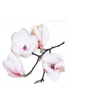Cocktail Napkin - White Magnolia WHITE