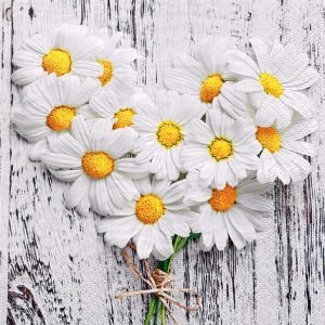 Lunch Napkin - Coeurs De Marguerites