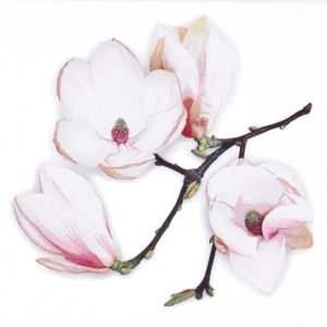 Lunch Napkin - White Magnolia WHITE