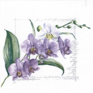 Lunch Napkin - Orchidée LILAC