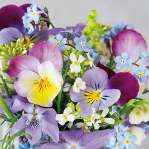 Lunch Napkin - Violets & Forget Me Not